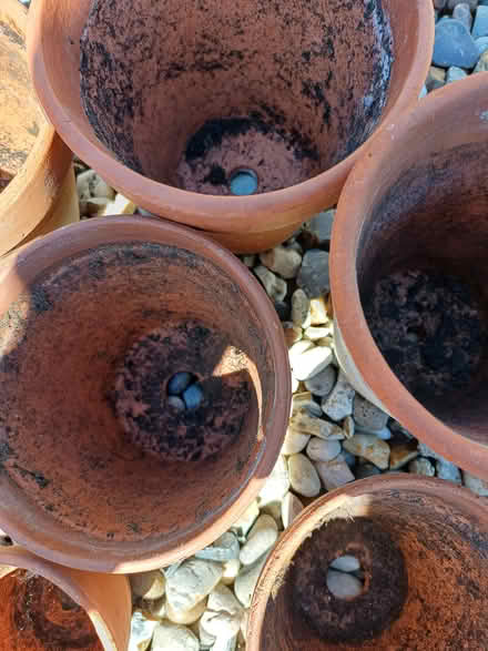 Photo of free Small terracotta plant pots x 7 (Chelmsford CM1) #2