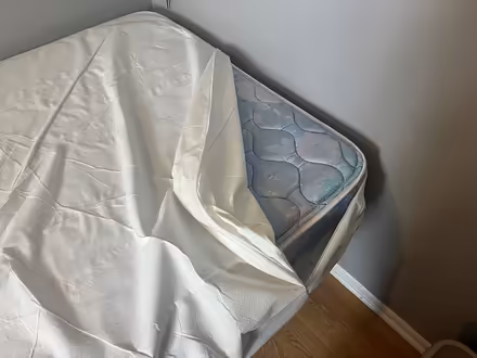 Photo of free Twin mattress with protector (South Downers Grove) #1