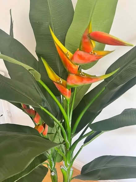 Photo of free Large artificial heliconia plant (Hanwell W7) #1