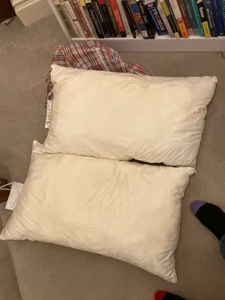 Photo of free Pillows (N22) #1