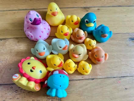 Photo of free Rubber ducks / bath toys (Hampden Park BN22) #1