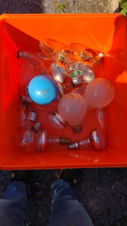 Photo of free Light Bulbs (Havant PO9) #1