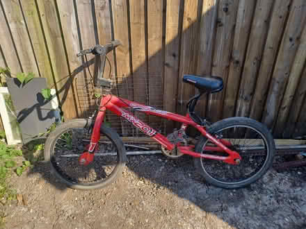 Photo of free BMX (TN24) #1