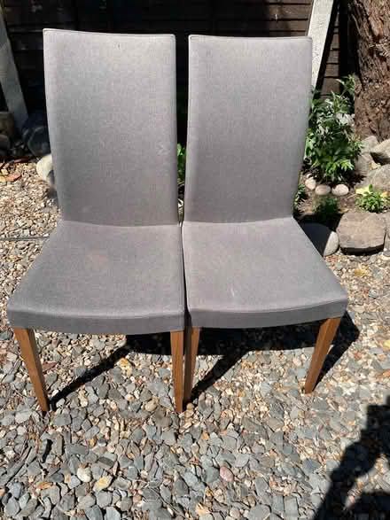 Photo of free Dining chairs (Woodford, IG8) #1