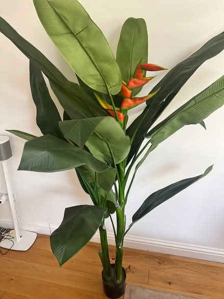 Photo of free Large artificial heliconia plant (Hanwell W7) #2
