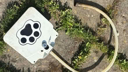 Photo of free Dog outside drinker/toy (Morecambe LA4) #1
