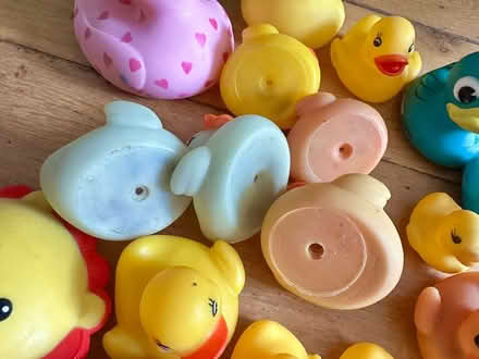 Photo of free Rubber ducks / bath toys (Hampden Park BN22) #2