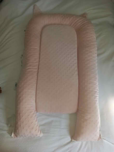 Photo of free Pink nest (Chadderton OL9) #2