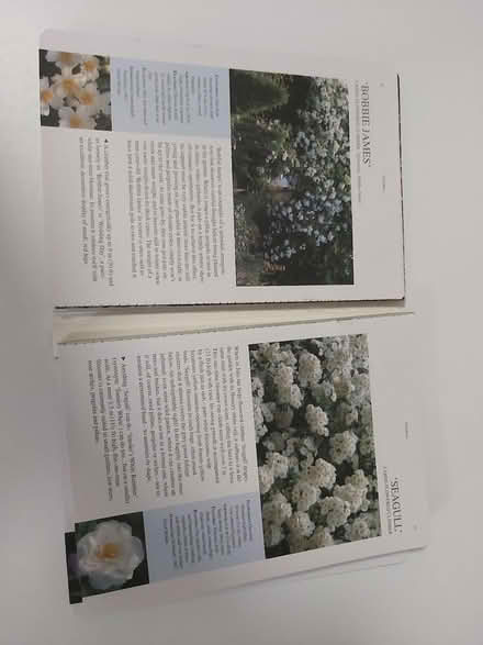 Photo of free Rose guidebook (Woolton L25) #3