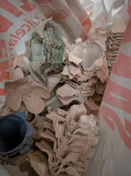 Photo of free Egg box cups for crafts (Wandsworth SW15) #1