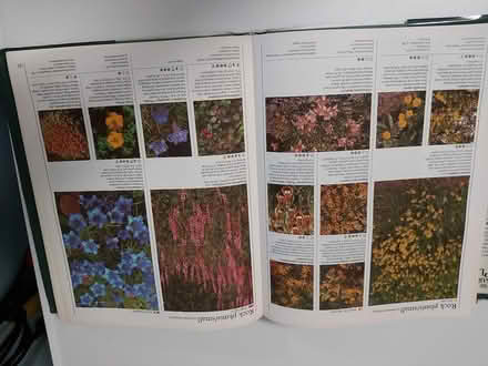 Photo of free RHS Encyclopedia:Plants & Flowers (Woolton L25) #3