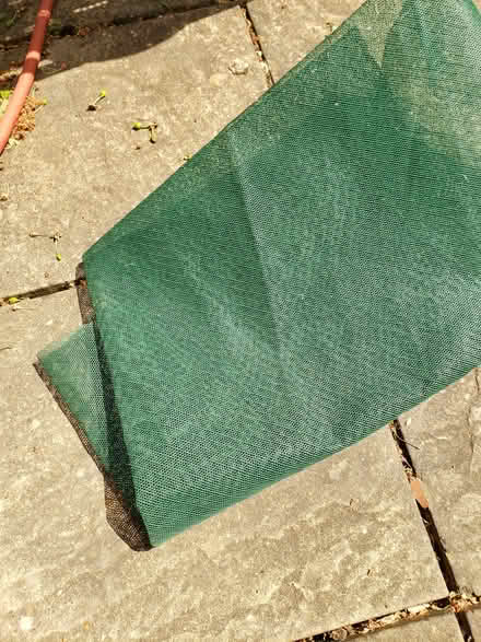 Photo of free Greenhouse shading (Belper Whitemoor area) #1