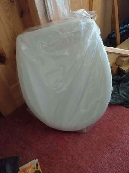 Photo of free Plastic Toilet Seat (Avebury SN8) #1