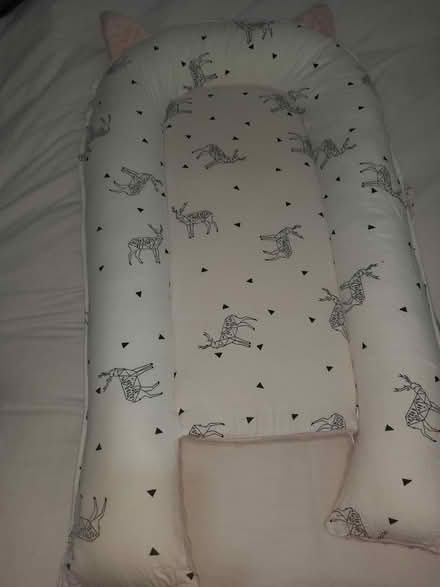 Photo of free Pink nest (Chadderton OL9) #4