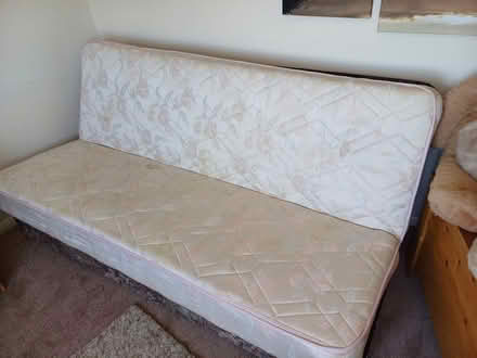 Photo of free Folding sofa bed (Lavant, Chichester) #4