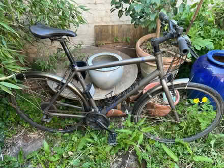 Photo of free Raleigh men’s bike (Barons Court W6) #1