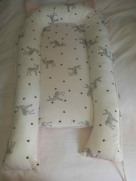 Photo of free Pink nest (Chadderton OL9) #3