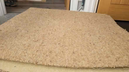 Photo of free Squares of carpet (Buckhurst Hill IG9) #1