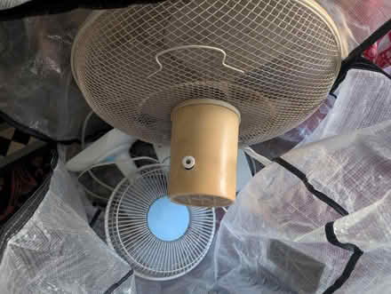Photo of free Two working fans (Neasden NW10) #1