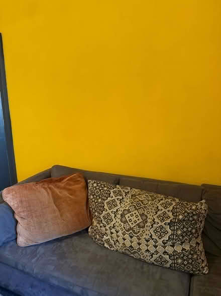Photo of free Two large cushions (Brixton Hill SW2) #1