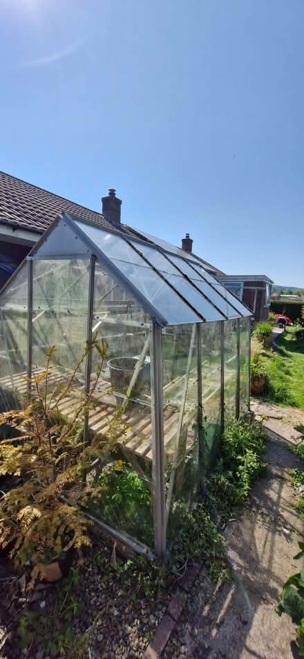 Photo of free Greenhouse (Bucknell SY7) #3