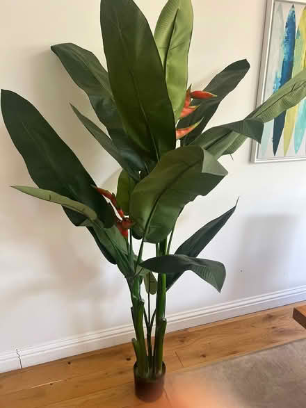 Photo of free Large artificial heliconia plant (Hanwell W7) #3