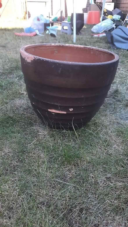 Photo of free Large earthern plant pot (Abbey Wood SE2) #2