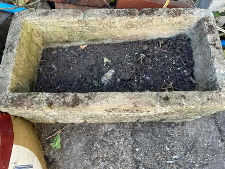 Photo of free Stone Planter (Polegate BN24) #2