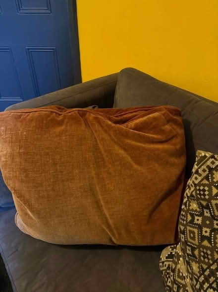 Photo of free Two large cushions (Brixton Hill SW2) #3
