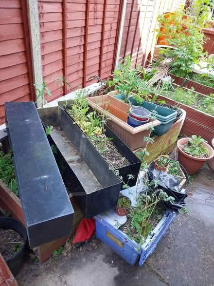 Photo of free Pots, used soil etc (Elstow MK42) #1