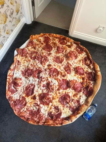 Photo of free Pizza blanket (Brickhill MK41) #1