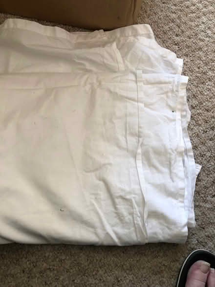 Photo of free Single flat white sheet (Langney BN23) #1