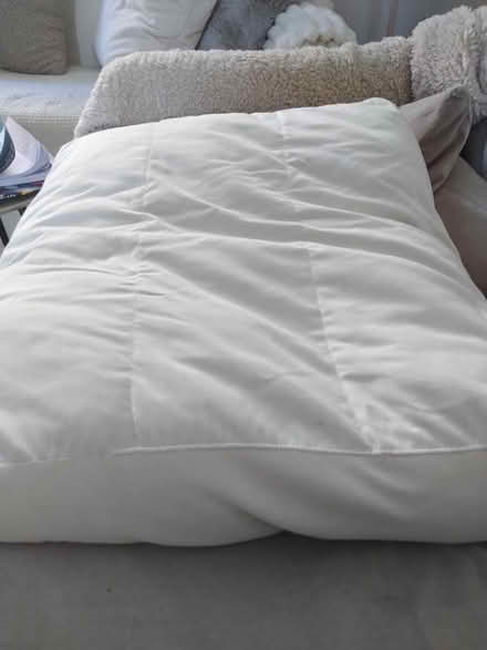 Photo of free Sofa cushions feathered filled (SE1 8DU) #1