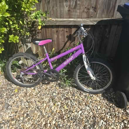 Photo of free Girls Bicycle (CT5) #1