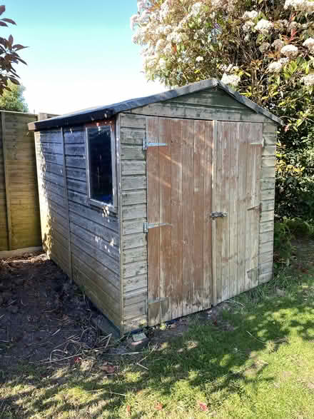 Photo of free Garden Shed (Felpham PO22) #3