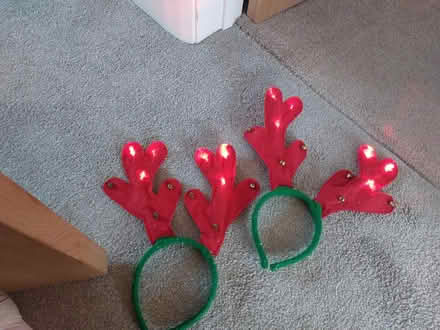 Photo of free Reindeer anters (Flackwell heath HP10) #2