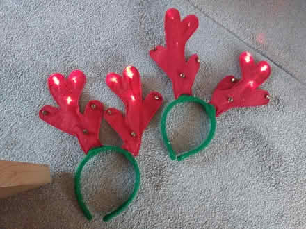 Photo of free Reindeer anters (Flackwell heath HP10) #1