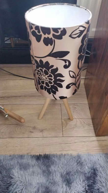 Photo of free Floor standing lamp (Calow S44) #1