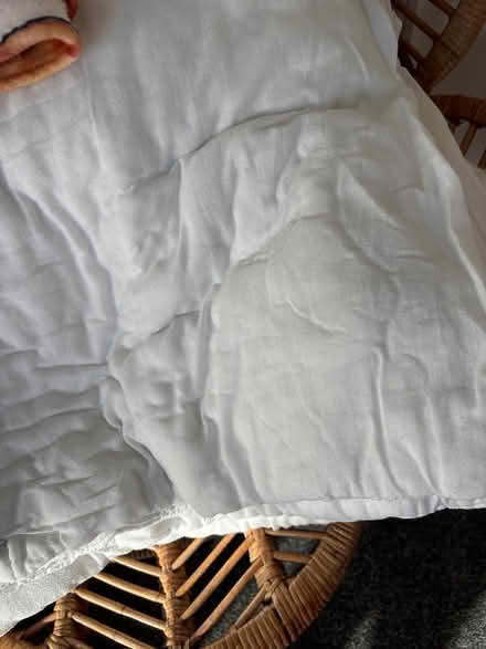 Photo of free Single quilt (Brickhill MK41) #1