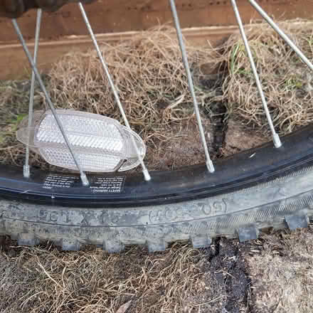 Photo of free two bikes (Deerhurst Walton GL19) #4