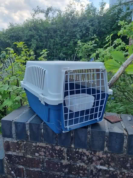 Photo of free Cat Basket (RG4) #1