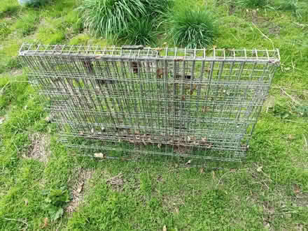 Photo of free Dog crate (Nether Kellet LA6) #2