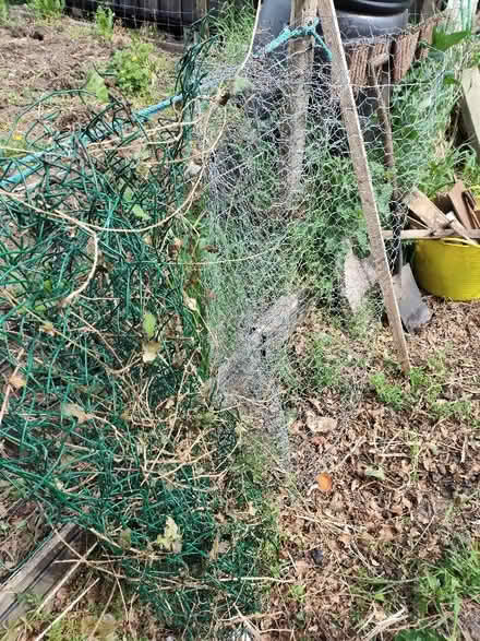 Photo of free Chicken wire & green mesh wire fencing stuff (Nether Kellet LA6) #4