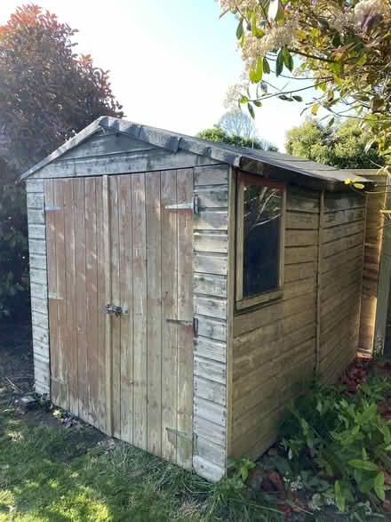 Photo of free Garden Shed (Felpham PO22) #1