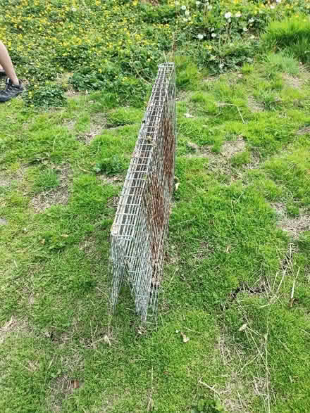 Photo of free Dog crate (Nether Kellet LA6) #4