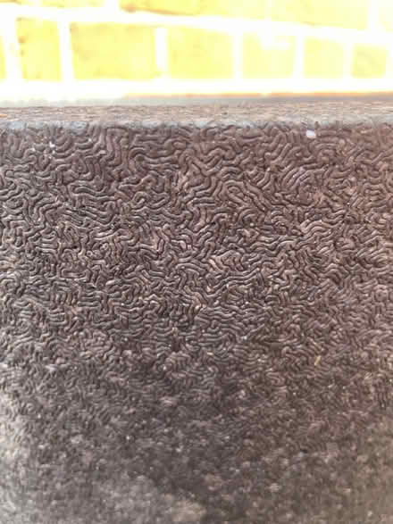 Photo of free Black planters (Guildford GU2) #2