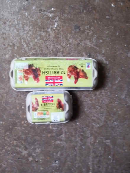 Photo of free Egg Boxes (Hemel Hempstead HP2) #1
