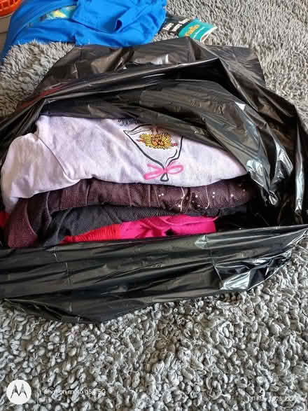 Photo of free Ladies t-shirts, Large, 16 - 18 (Drylaw EH4) #1