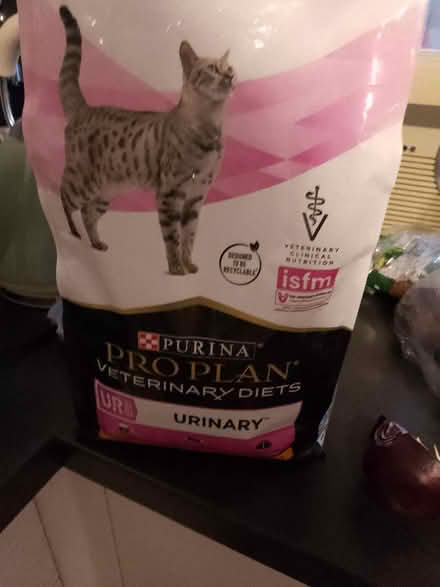 Photo of free Cat food (Oxford) #1