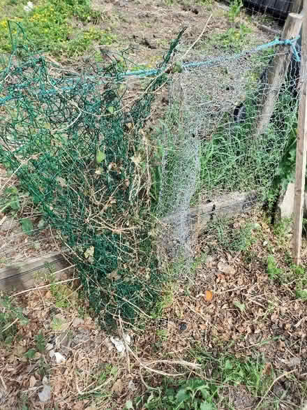 Photo of free Chicken wire & green mesh wire fencing stuff (Nether Kellet LA6) #3